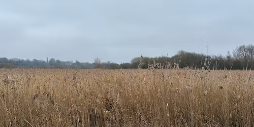 Guided wildlife walk - Bowesfield Reserve - City Nature Challenge 2026 