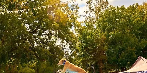 DockDogs\u00ae at Woofstock | Bismarck, ND | Wild Card Event!