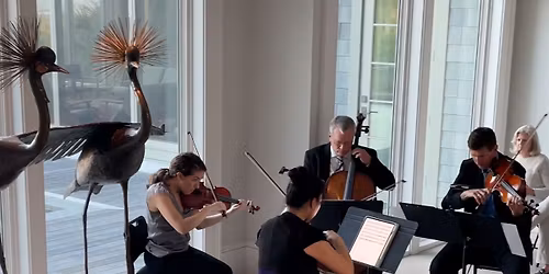 Chamber Concert Series: Brandenburg Concertos