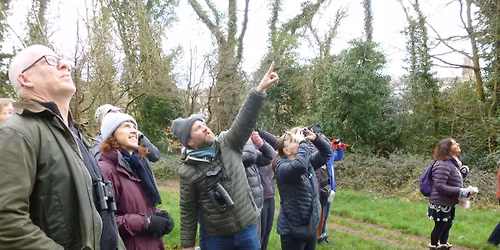 Birds of a feather - winter bird workshop