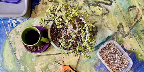 Bonsai & Brews at Bonsai Beverage Co.