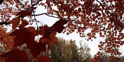 Advance Conference Winter Retreat