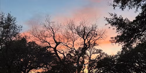 June Sunset Mindfulness Walk