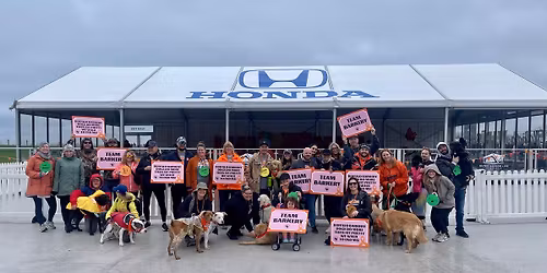 Walk with Team Barkery at Walk MS: Buffalo