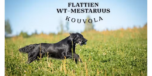 Flattien WT-mestaruus 2026