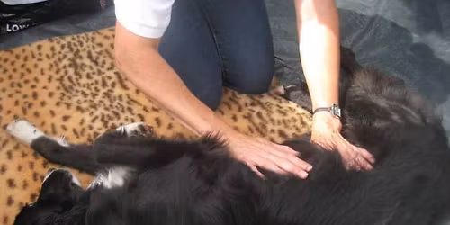 REIKI LEVEL 1 ATTUNEMENT