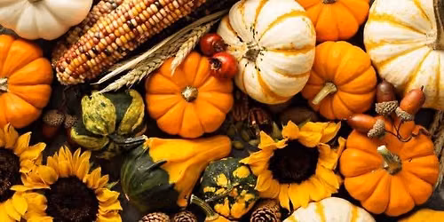 Fall Harvest Festival
