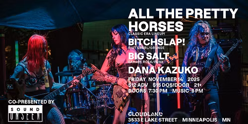 All The Pretty Horses, BITCHSLAP!, Big Salt, DJ Dana Kazuko 