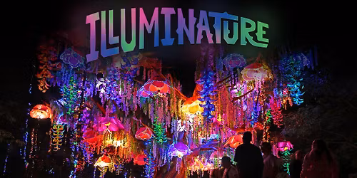 Illuminature