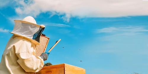 Beekeeping Basics