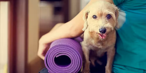 Yoga + Dogs & Coffee at Zoomies