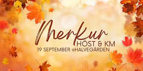 Merkur H\u00f6st & KM