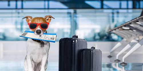 Wagging All Over the World