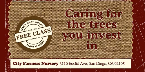 Caring for the Trees You Invest In \ud83c\udf33\ud83d\udc9a