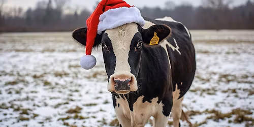 Vern\u2019s Holiday Open House: \u2728\ud83c\udf84Say Cheese & Be Merry! \u2728\ud83c\udf84