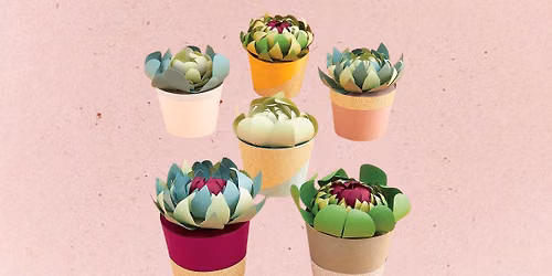 Make a Mini Succulent