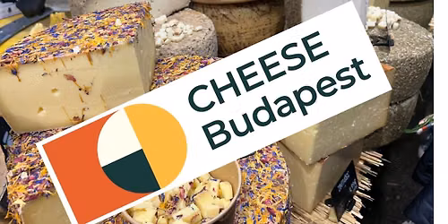 Cheese Budapest