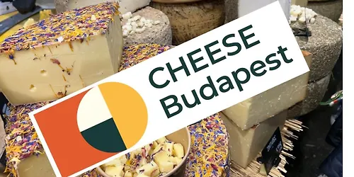 Cheese Budapest