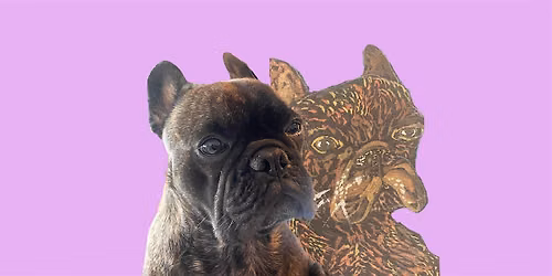 Pet Portraits!