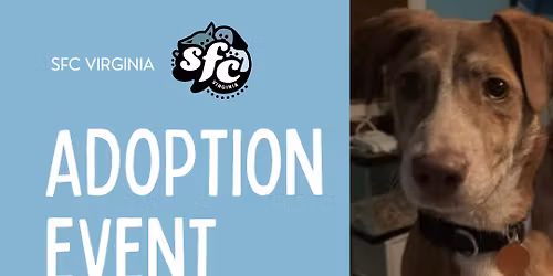 3\/15 Adoption Event at PetSmart Central Park