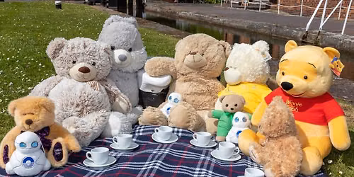Teddy Bear's Picnic