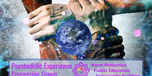 Psychedelic Experience Processing Group