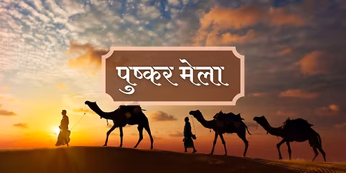Pushkar Fair 2025: Camel Fair - Cost Sharing Basis
