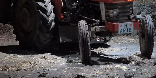 2026. Die verkaufte Braut