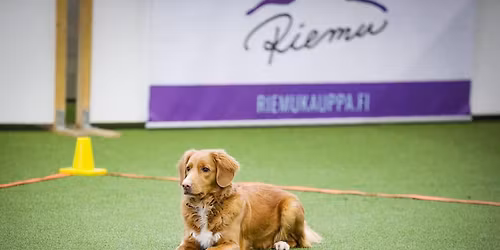 VAU:n tokokoe 22.11.2025