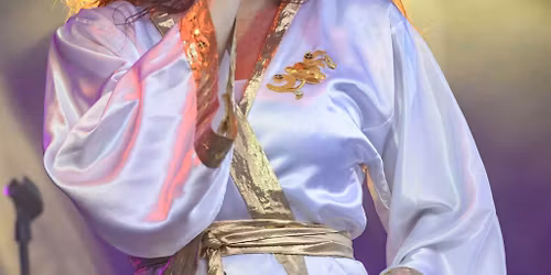 ABBA INFERNO THE ULTIMATE ABBA TRIBUTE