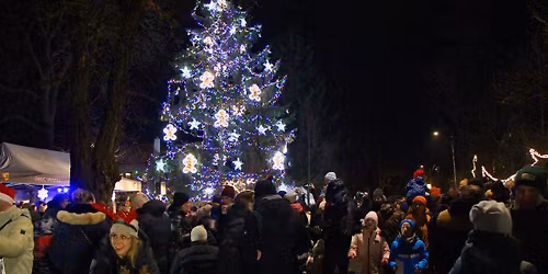 ROZSV\u00cdCEN\u00cd V\u00c1NO\u010cN\u00cdHO STROMU