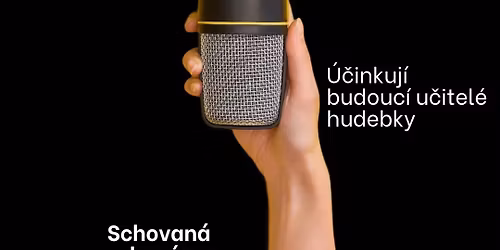 T\u0159e\u0165\u00e1ci ve Schovance