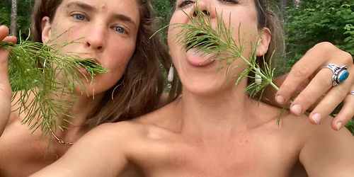 Detoxification and Spring Cleaning with Plants at Leaf & Quiet!