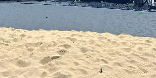 Old Skool (vrije toegang)