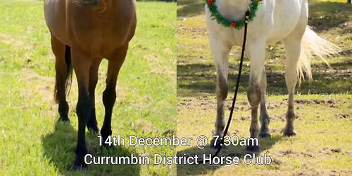 CDHC COMMUNITY CHRISTMAS FUNDRAISER 