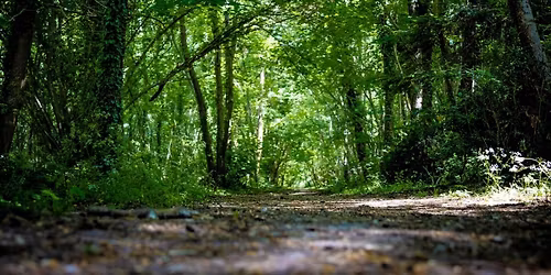 Sortie nature : Nature & climat : remonter le temps pour comprendre le pr\u00e9sent