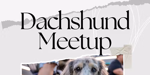 Dachshunds Meetup
