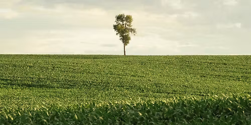 In Pursuit of Silence (PG): Film Screening