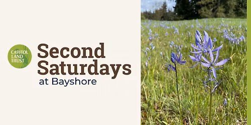 Second Saturdays: Prairies & Pollinators