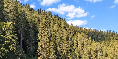 \ud83c\udf3f Weekend de 1 Mai \u00een inima Secuimii: Aventur\u0103, Tradi\u021bie \u0219i Gust local! \ud83e\udd58\ud83c\udfd4\ufe0f