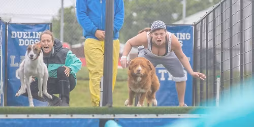 DockDogs\u00ae at Cedar Rapids Freedom Festival