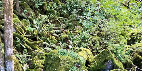 VANDRING & MAGI P\u00c5 \u00c5LLEBERGS \u00c4NNE