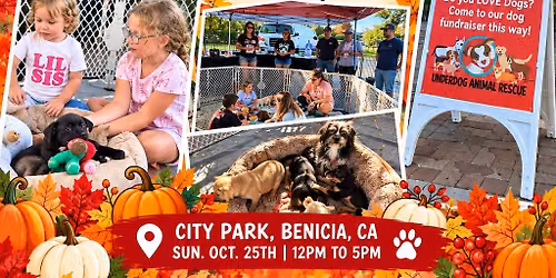 Underdog Animal Rescue at the Family Fall Fest
