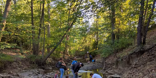 Waterways Cleanup - Sperry Creek at Reese Park (meet between playground and canopy)