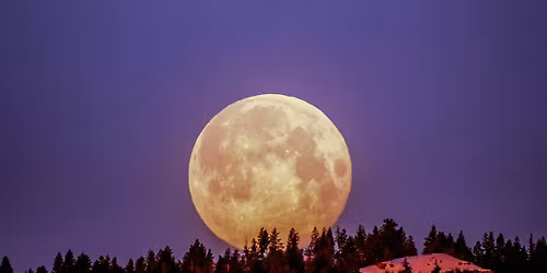 Yoga for the Cold Moon: Yin Style Yoga Practice & Guided Visualization