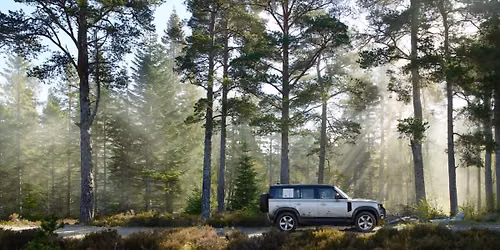 Defender Live in Bruchk\u00f6bel: Wenn der Wolf zur\u00fcckkehrt \u2013 Auswirkungen auf Wald und Wild