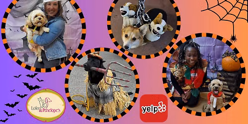Canine Howl-O-Ween Pawty!\ud83c\udf83 Hosted by Yelp STL & Lola & Penelope's