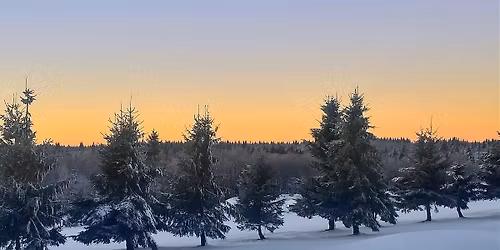 Fo (HoHoHo)to- Weihnachtsfeier 2025