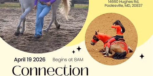 Connection Clinic - MD