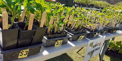 Plant Sale - Spring fundraiser 2026